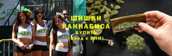 дживик Нязепетровск