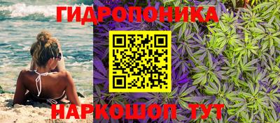 дурь Донской