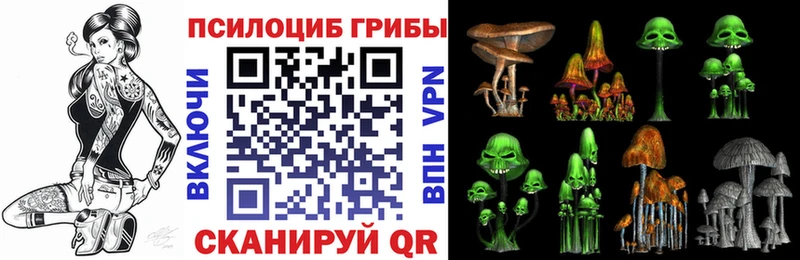 Псилоцибиновые грибы MAGIC MUSHROOMS  Черногорск 