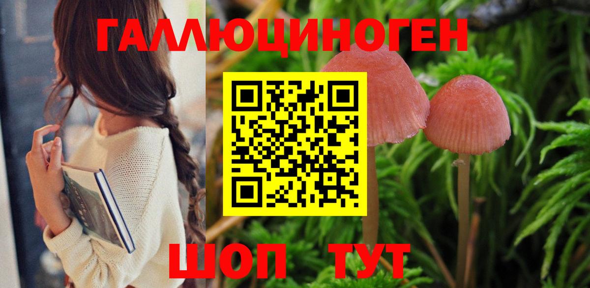 Псилоцибиновые грибы Psilocybe  Галлюциногенные грибы ЛСД  Черногорск 