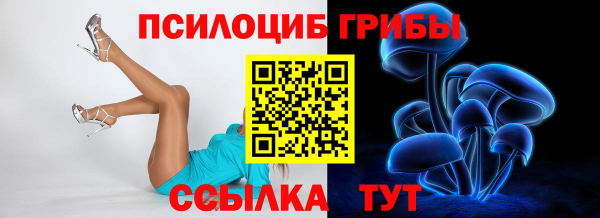 Галлюциногенные грибы прущие грибы Черногорск